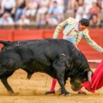 Colombia aprueba prohibición de corridas de toros: una nueva era sin maltrato animal